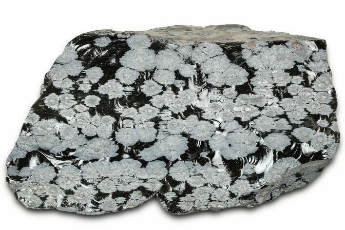 Snowflake Obsidian Section - Utah #327112